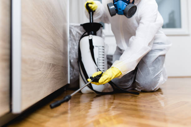 Best Insect Control  in Spring Valley, IL