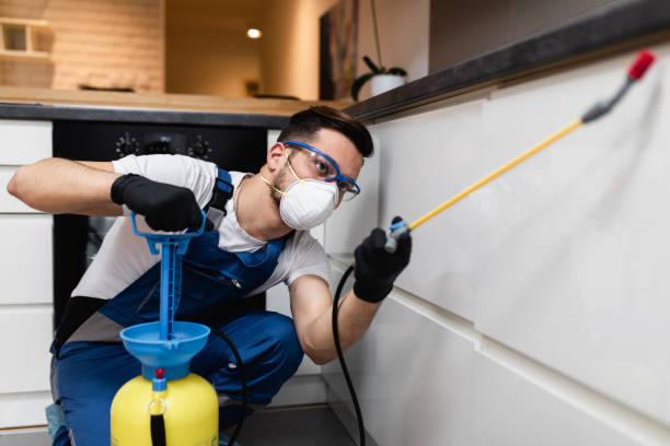 Wildlife Control Services in Spring Valley, IL