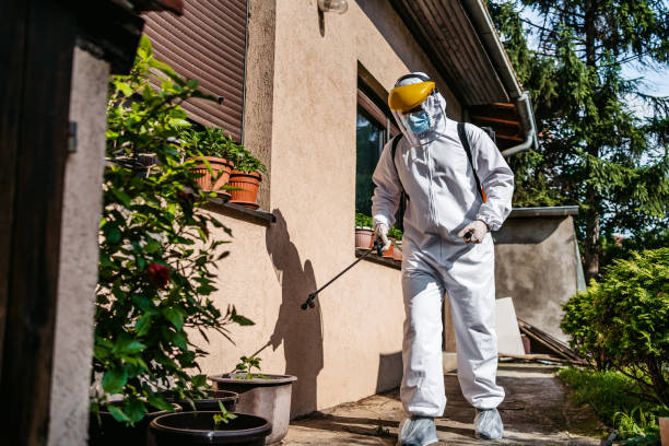 Best Bed Bug Extermination  in Spring Valley, IL