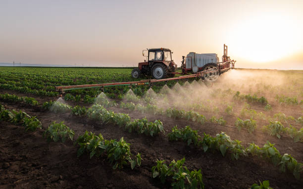 Reliable Spring Valley, IL Pest Control Solutions