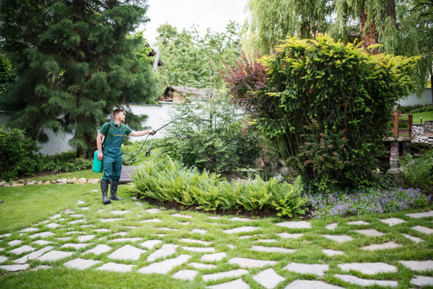 Best Pest Control for Homes  in Spring Valley, IL