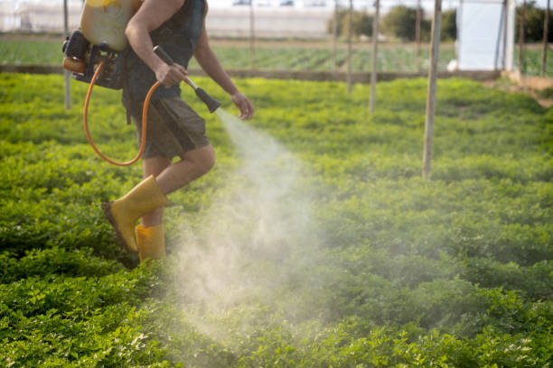 Best Wildlife Control Services  in Spring Valley, IL
