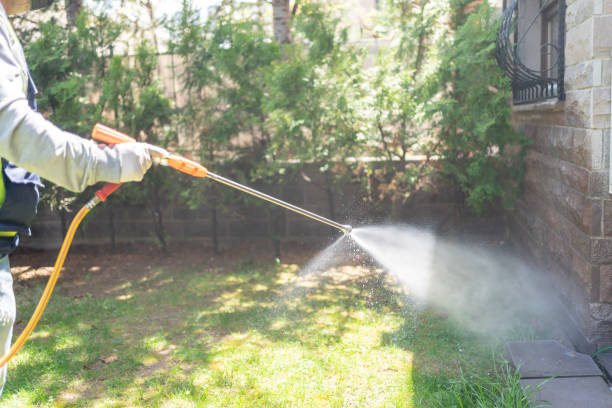 Best Pest Control for Businesses  in Spring Valley, IL