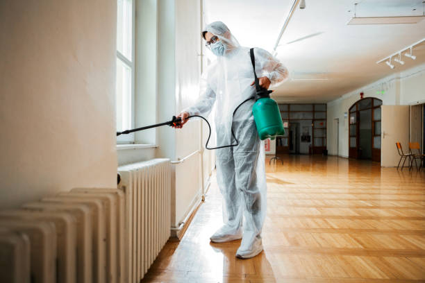 Best Mosquito Control Services  in Spring Valley, IL