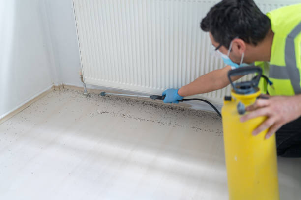 Best Commercial Pest Control Services  in Spring Valley, IL