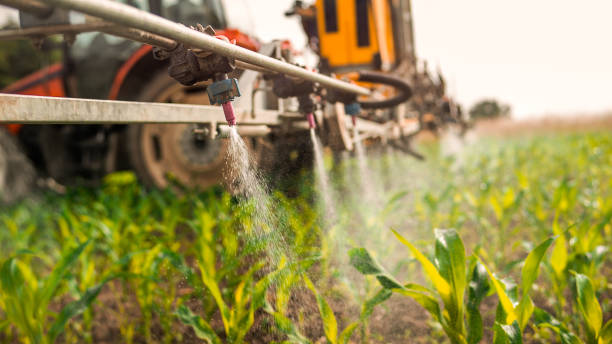 Pest Control Cost in Spring Valley, IL